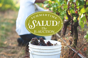 Support the Summertime ¡Salud! E-Auction